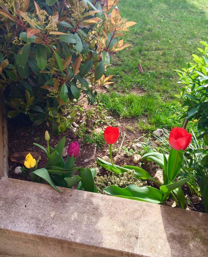 Papere E Tulipani Apartment วิเชนซา ภายนอก รูปภาพ